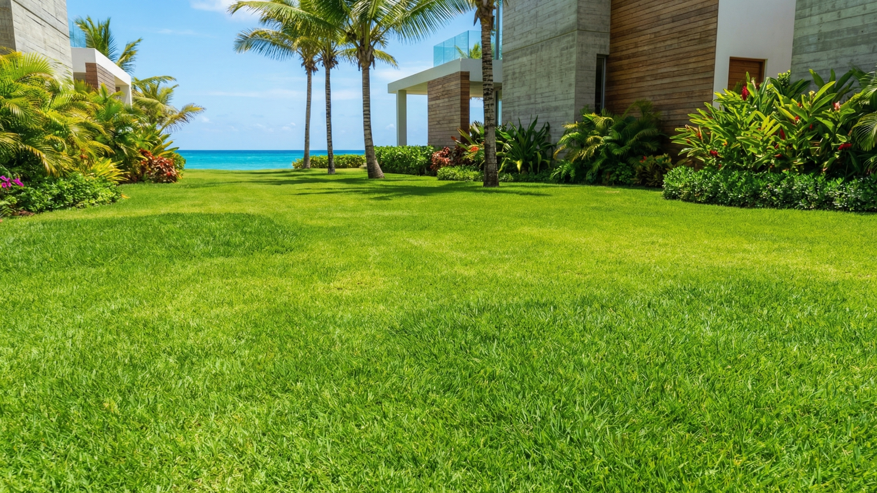 Su Jardín en RD: Cómo Elegir la Semilla de Grama Perfecta y Resistente