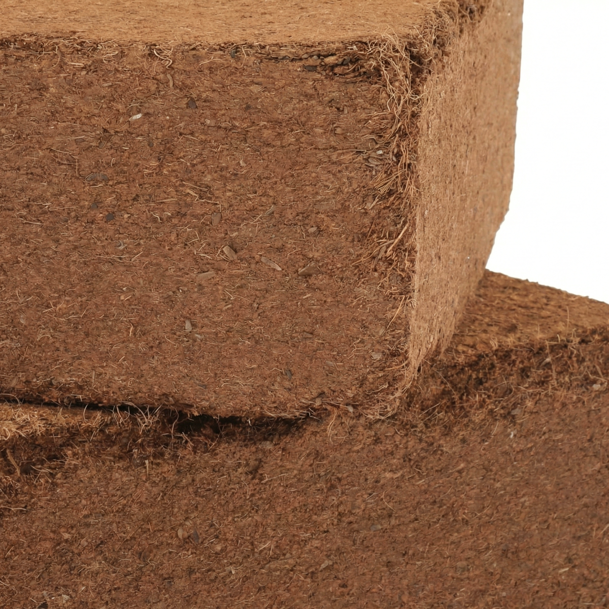 Deux briques empilées de substrat de coco compacté de haute qualité pour systèmes hydroponiques à Santiago, République dominicaine.
