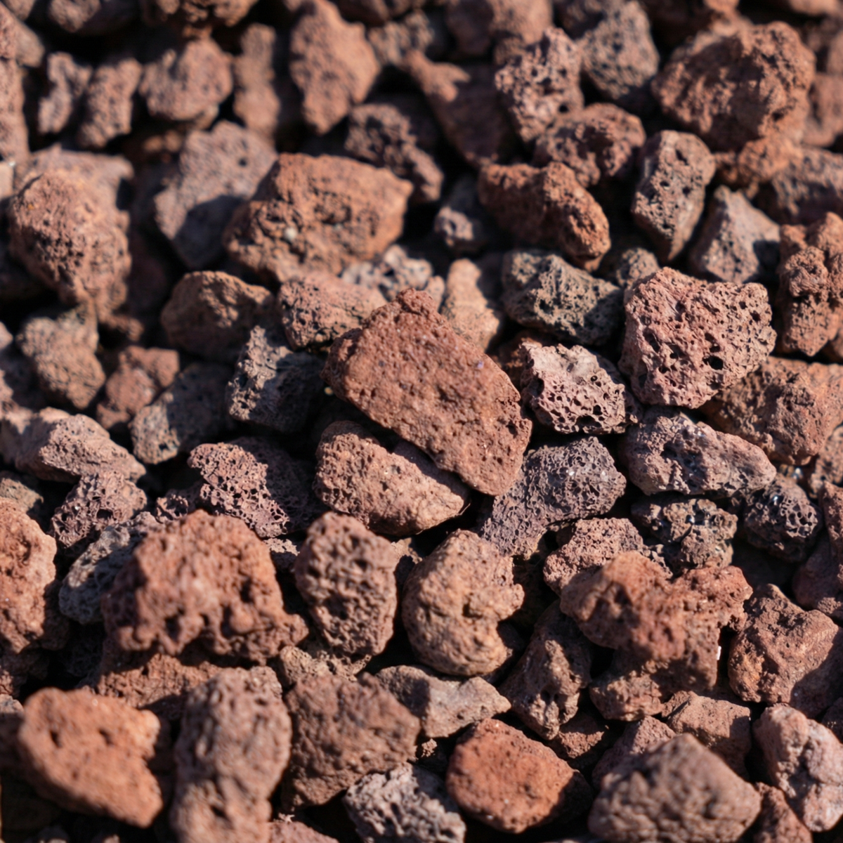 Gros plan de pierre ou roche volcanique rouge poreuse, excellente pour retenir l'humidité et optimiser le drainage des substrats à Saint-Domingue.