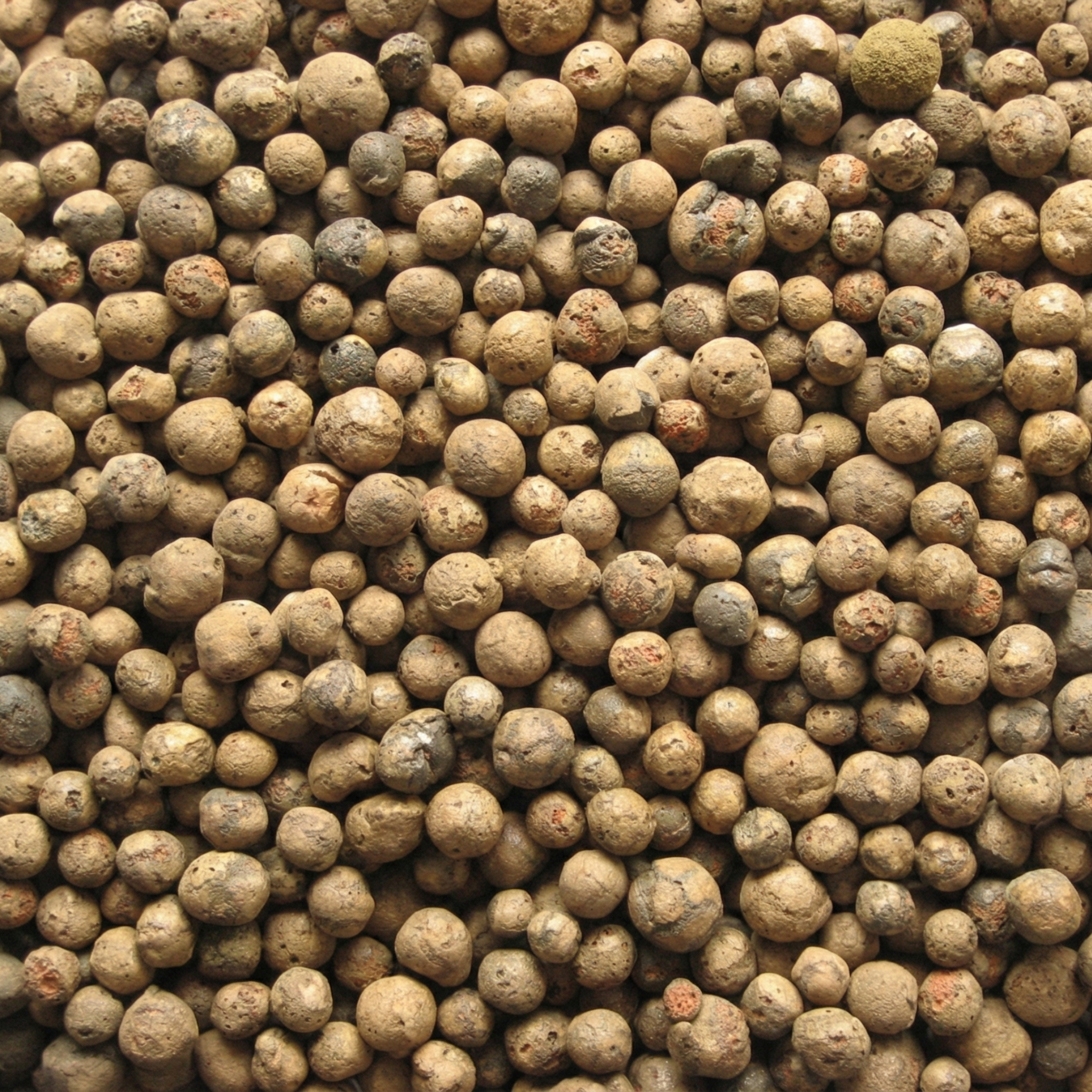 Arlita (Arcilla expandida)