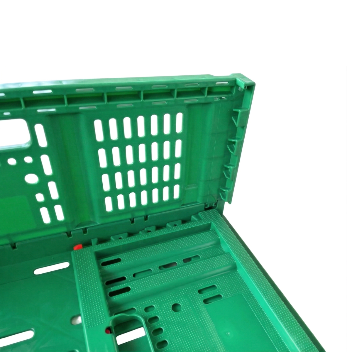 Caisse plastique dépliée prête à l'emploi pour la logistique agricole et le transport de produits.