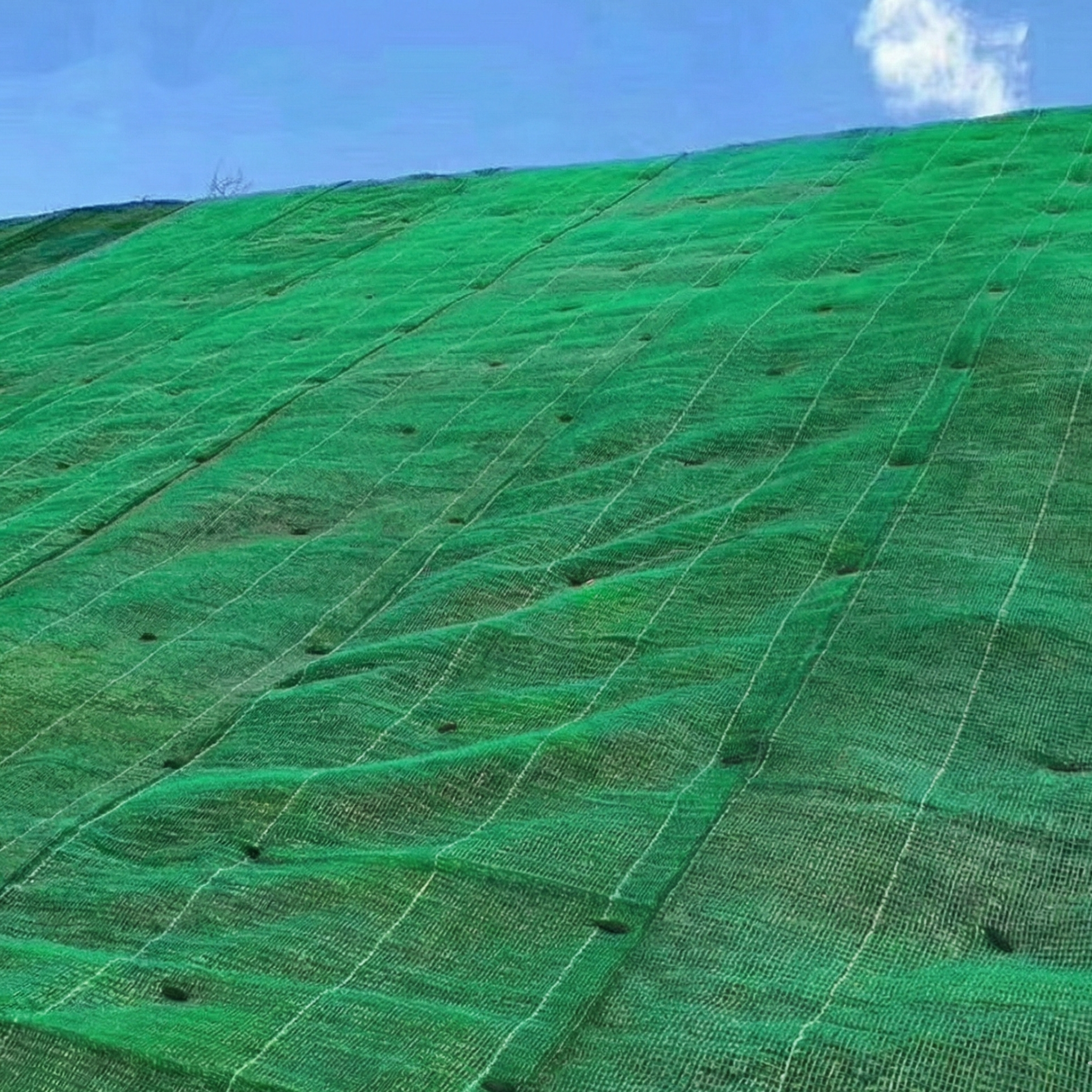 Geomanto 3d verde sobre talud en republica dominicana