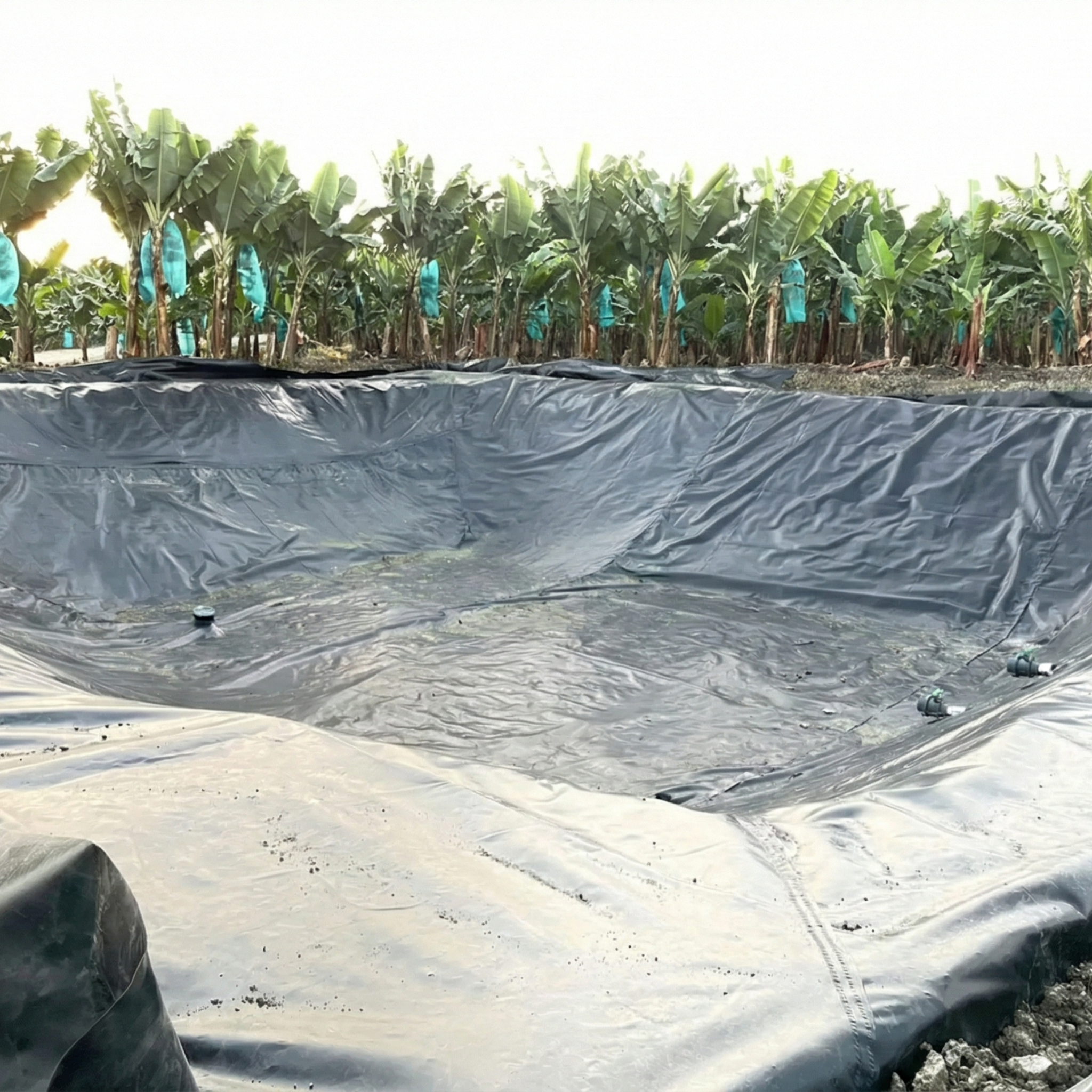 Geomembrana HDPE utilizada como barrera de vapor para la protección de pisos y cimientos en obras de construcción.
