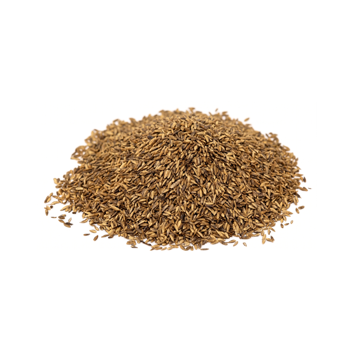 Semillas de grama zoysia