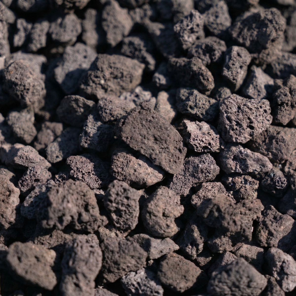 Gravier volcanique noir en vrac, paillis décoratif idéal pour les pots et les espaces verts.