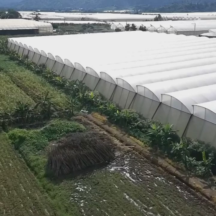 Greenhouse cover plastic