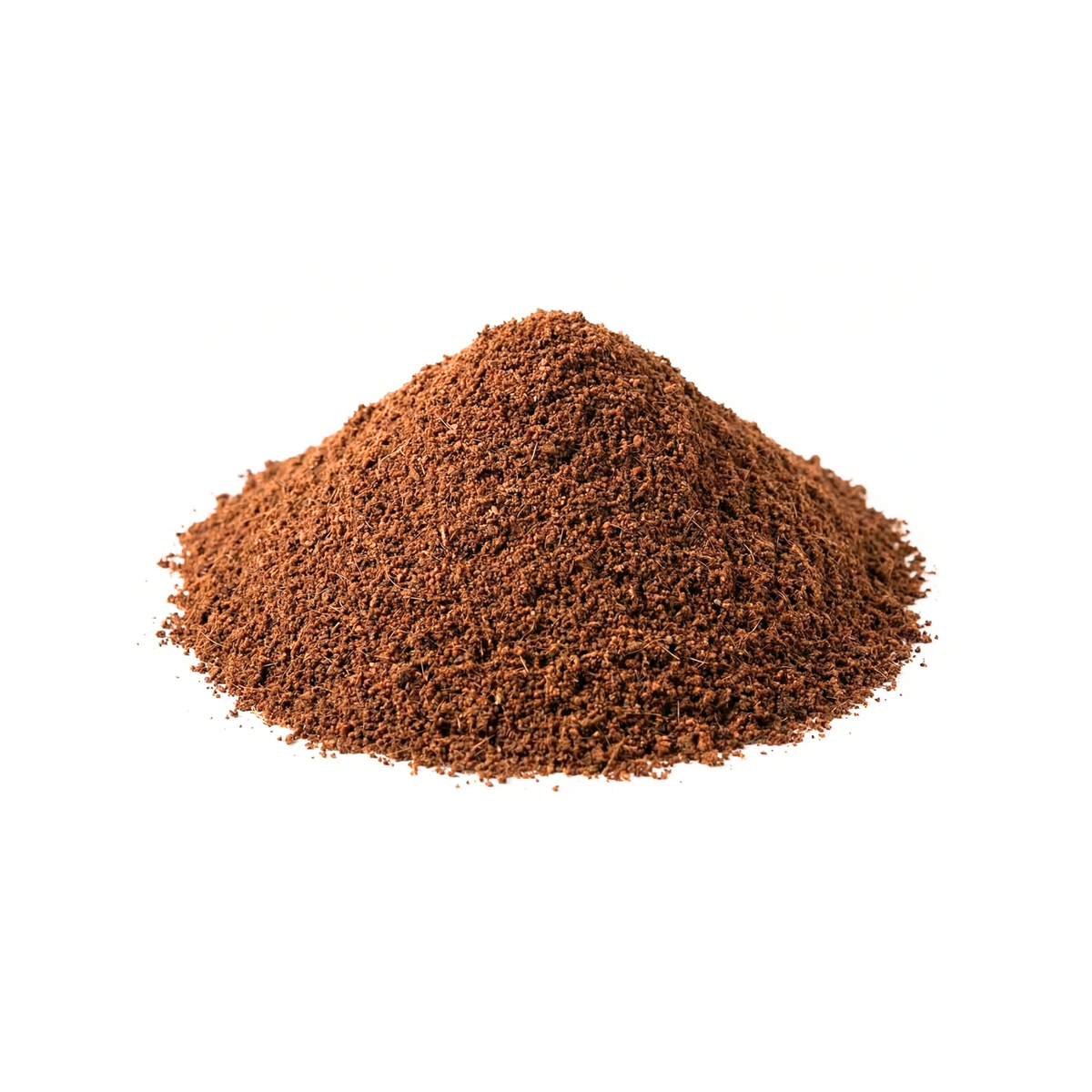 Portion de substrat de fibre de coco biologique pour plantes, semis et projets de jardinage en République dominicaine.