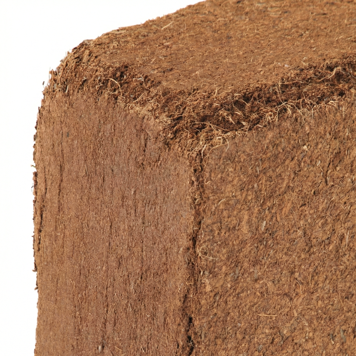 Détail de texture d'un bloc pressé de substrat de fibre de coco, idéal pour les semis et jardins urbains à Saint-Domingue.
